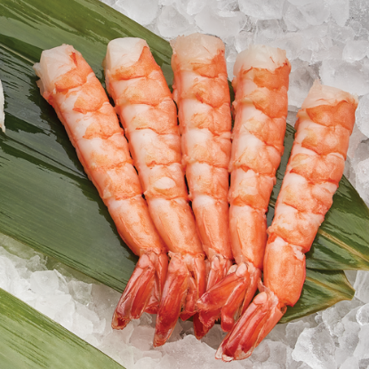 Picture of Ebi Sashimi