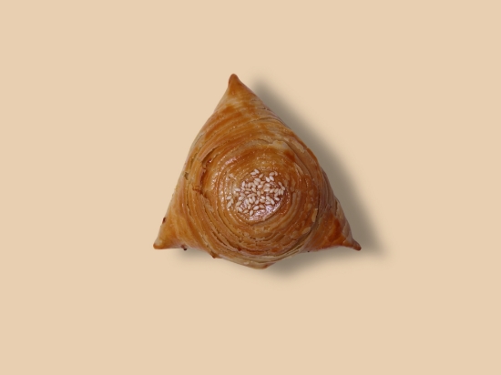 Picture of Chicken Samsa  1 pieces